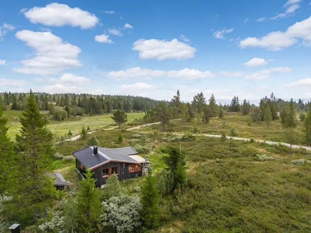 Kråkehovda 56, 3579 Torpo - Bilde 2