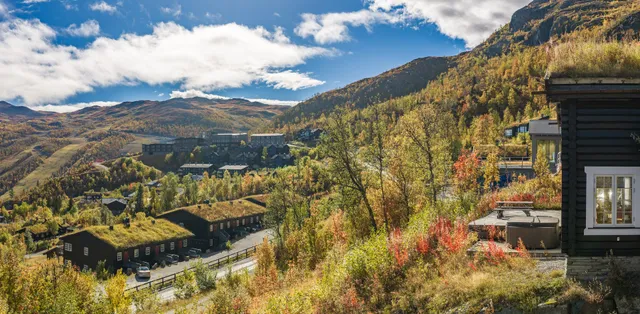 Sjåstadleine 72, 3560 Hemsedal - Bilde 3