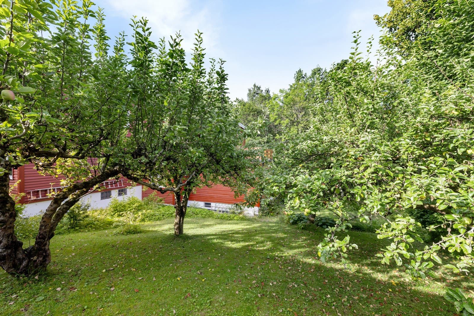 Hagan Terrasse 13C, 0379 Oslo - Bilde 2