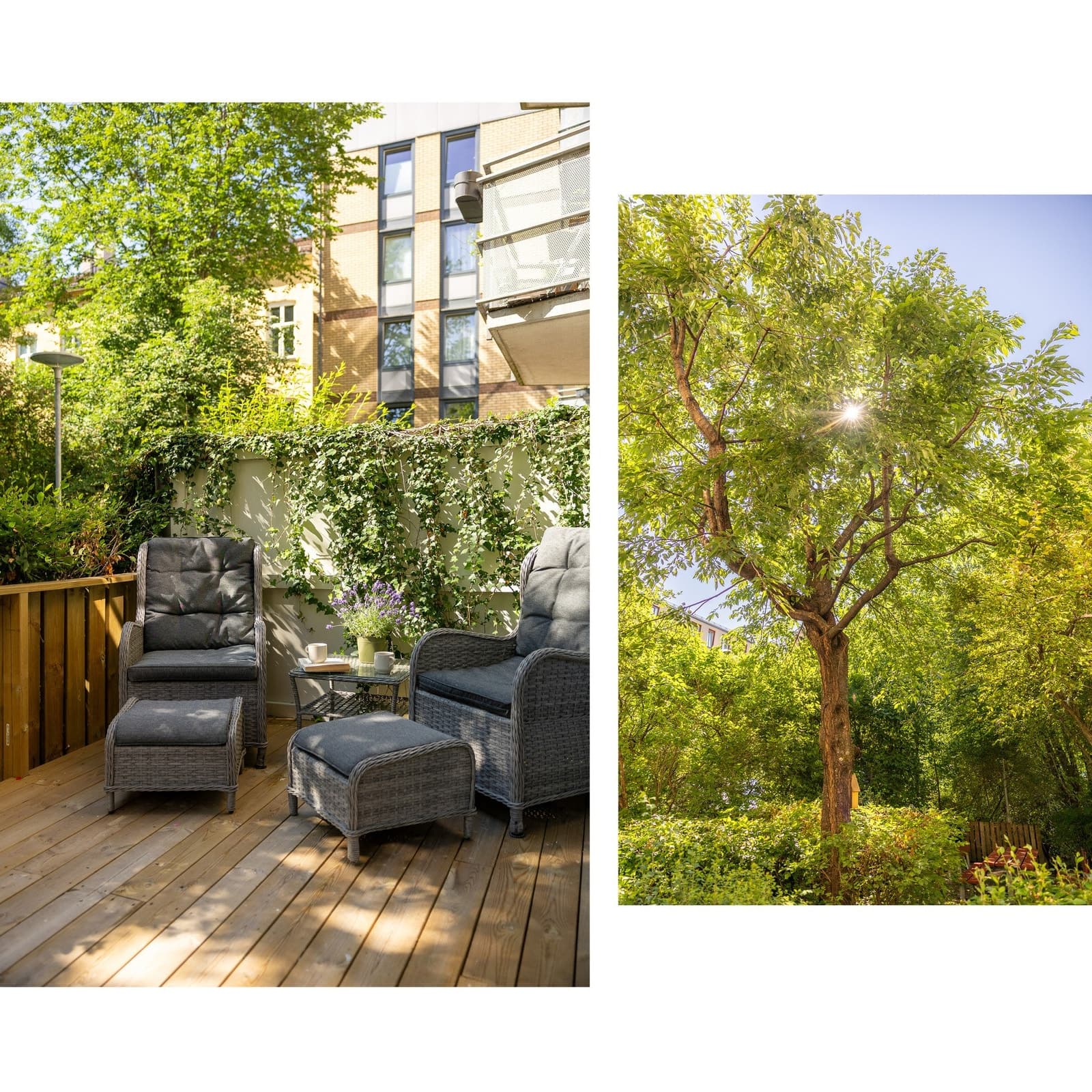 Motzfeldts Gate 21, 0561 Oslo - Bilde 3