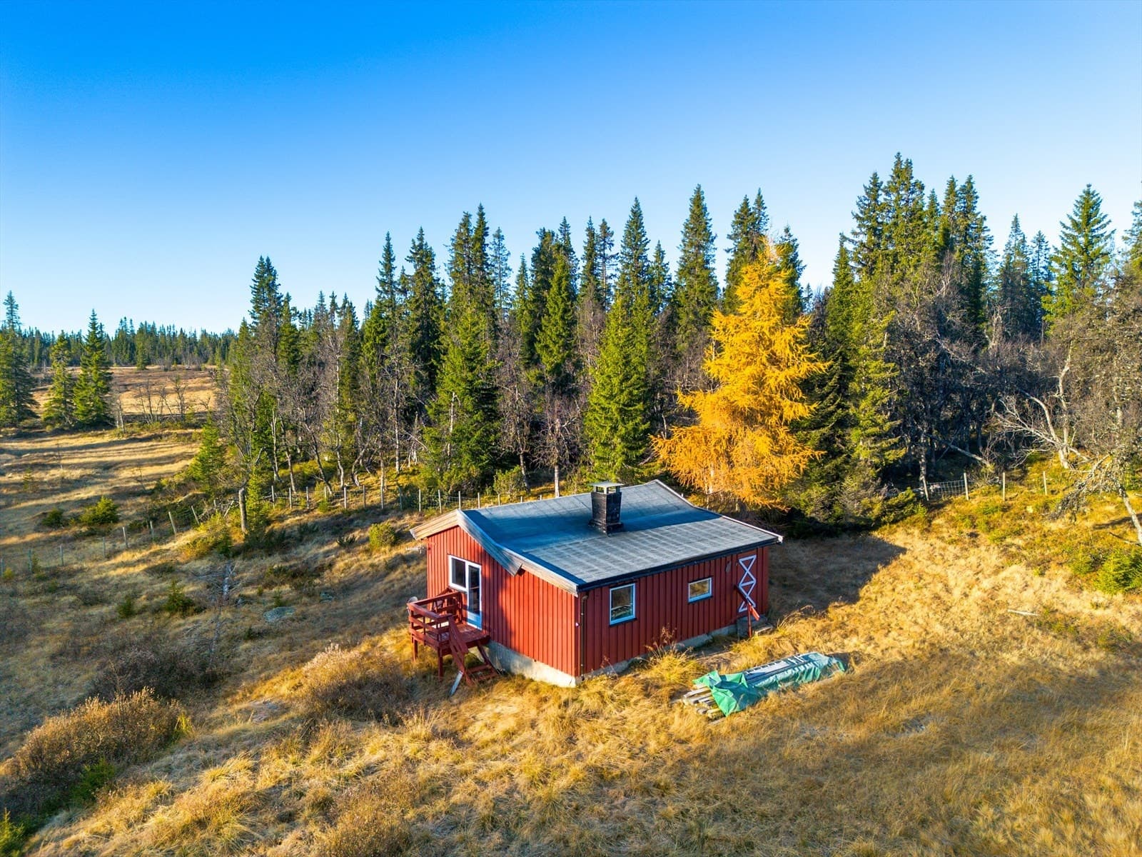 Teinvassåsvegen 782, 3528 Hedalen - Bilde 3