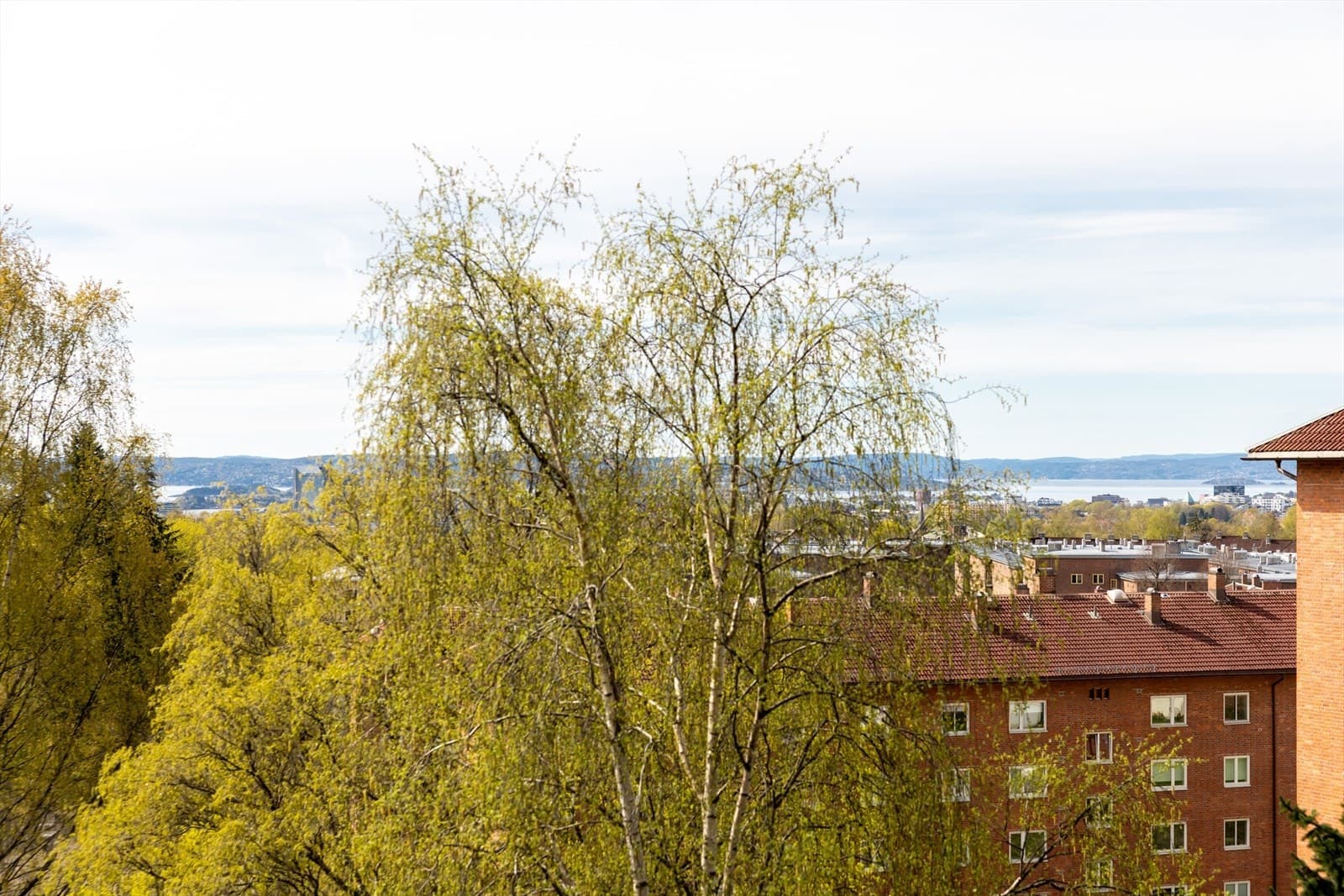 Hans Nielsen Hauges Gate 37A, 0481 Oslo - Bilde 2