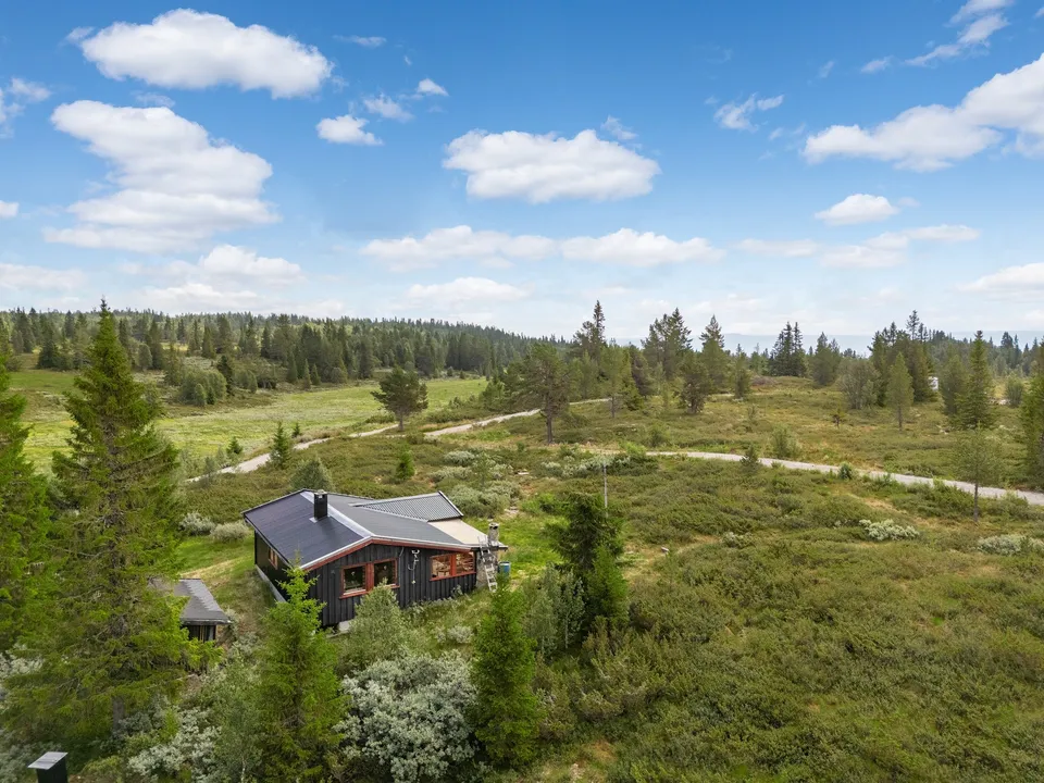 Kråkehovda 56, 3579 Torpo - Bilde 2